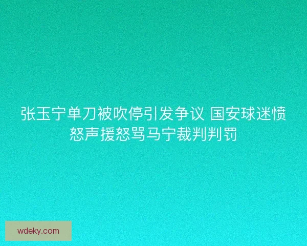 张玉宁单刀被吹停引发争议 国安球迷愤怒声援怒骂马宁裁判判罚